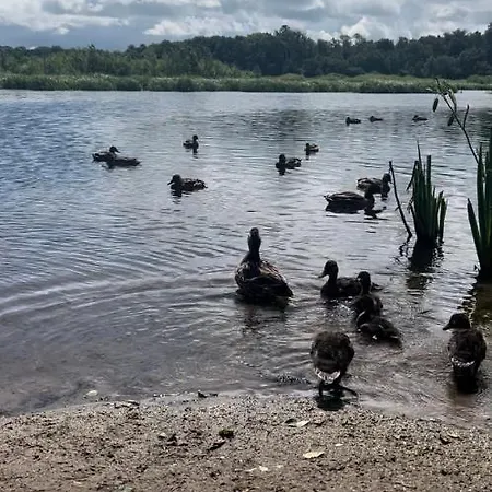 アパート Prywatny 413 W Arka Medical Przy Plazy コウォブジェク