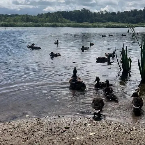 公寓 Prywatny 413 W Arka Medical Przy Plazy 科沃布热格